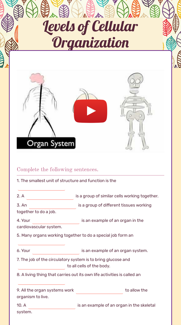 Levels Of Cellular Organization Worksheet Answer Key