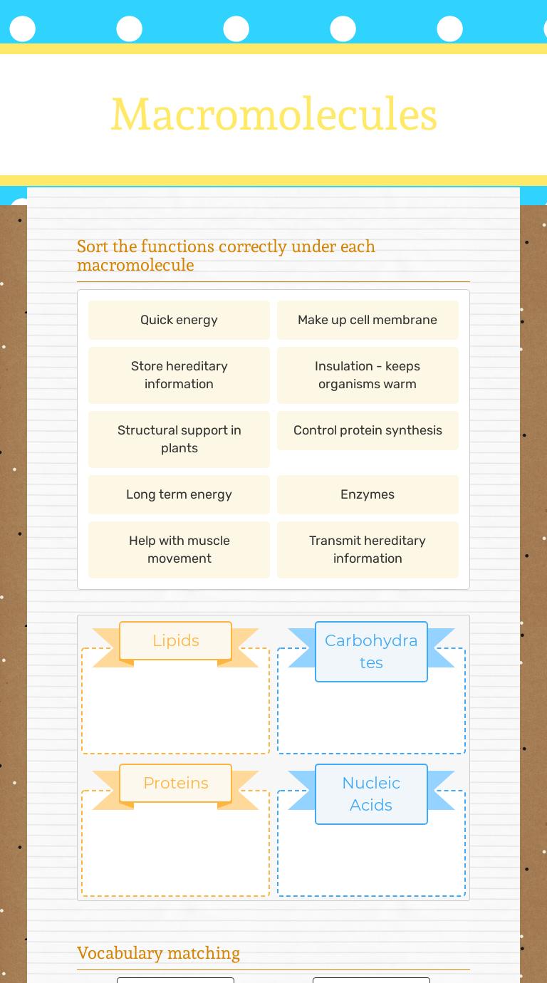 Macromolecules  Interactive Worksheet by Sarah Wegener  Wizer.me Throughout Macromolecules Worksheet Answer Key