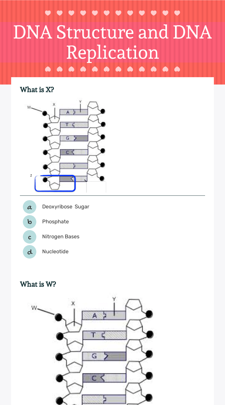 Dna Structure And Dna Replication Interactive Worksheet By Carly Lide Wizer Me