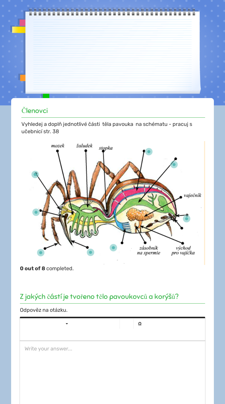 Parts Of A Circle Interactive Worksheet By Rebecca Mu 7845