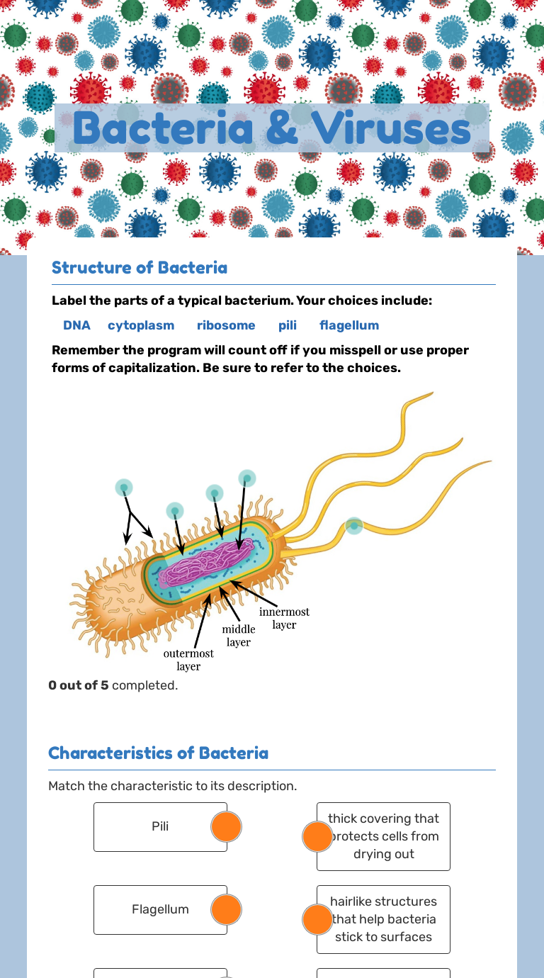 Bacteria & Viruses | Interactive Worksheet By Alisha Crouch | Wizer.me