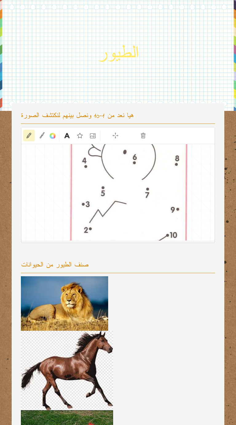 الطيور worksheet preview image