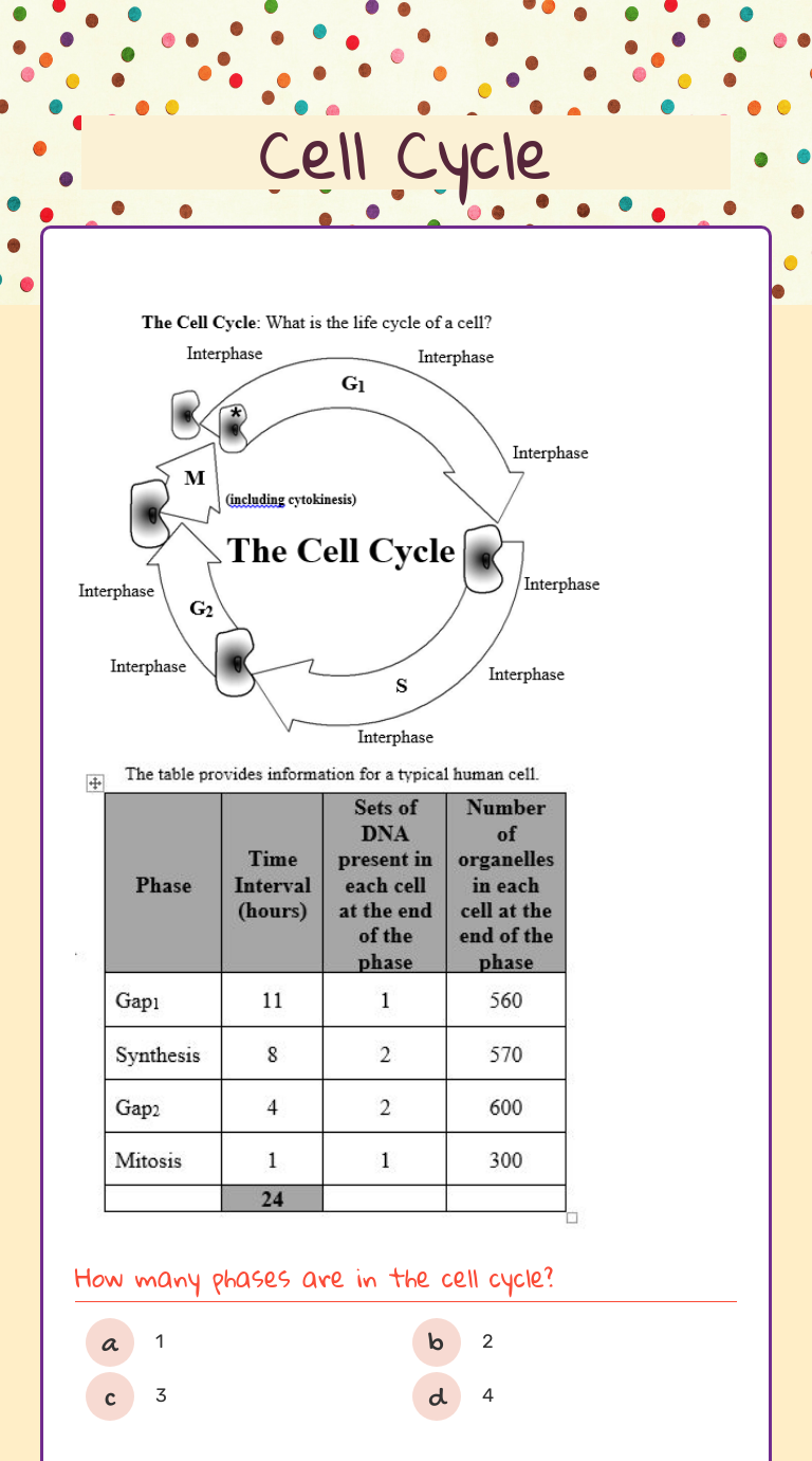 Cell Cycle Grade 10 worksheet preview