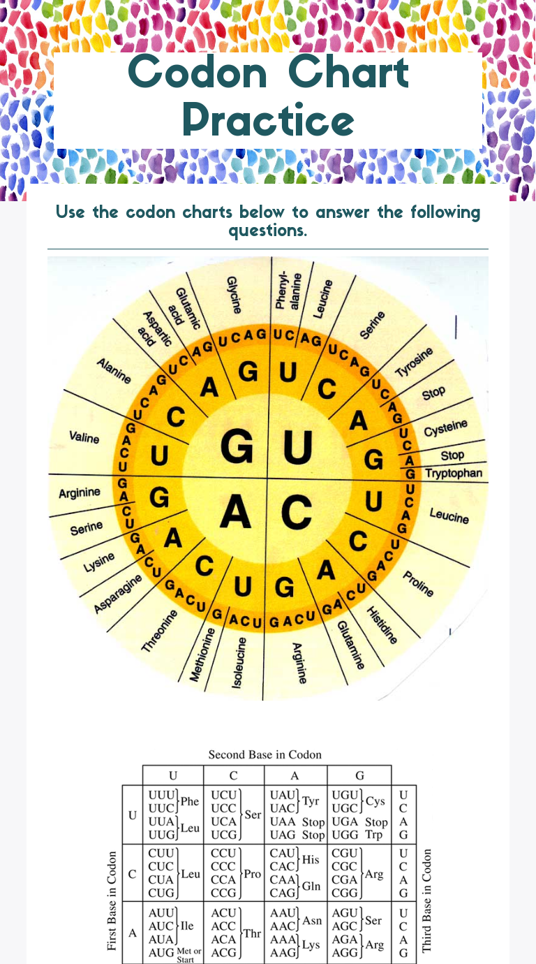 Codon Chart Practice worksheet preview image