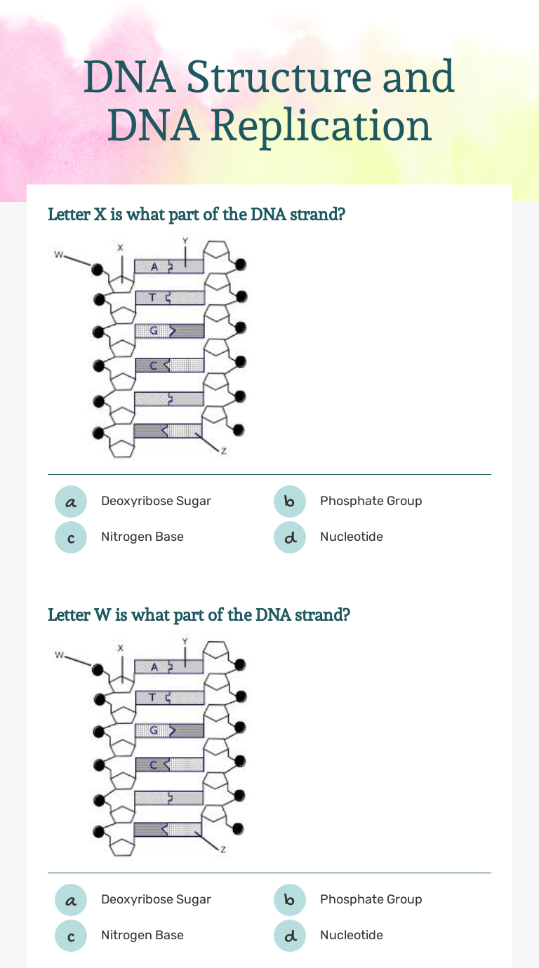 Dna Structure And Dna Replication Interactive Worksheet By Cameron Good Staff 7418