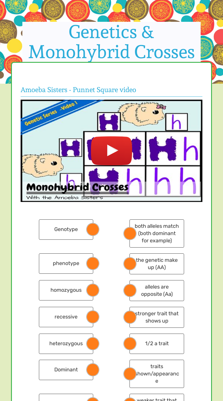 Genetics Monohybrid Crosses Interactive Worksheet By Monique Gray Wizer Me