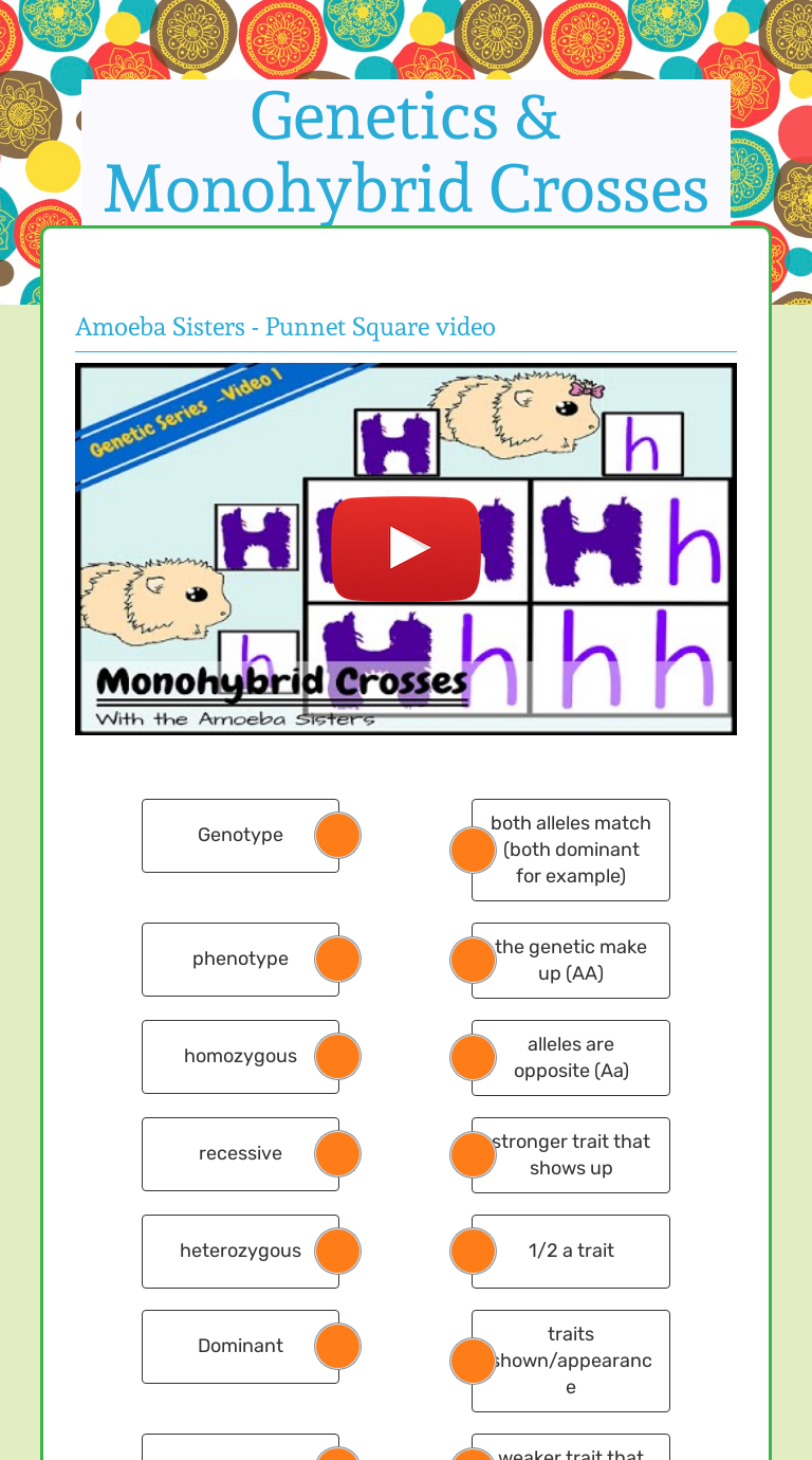 Monohybrid Cross Worksheet Monohybrid Cross Worksheet
