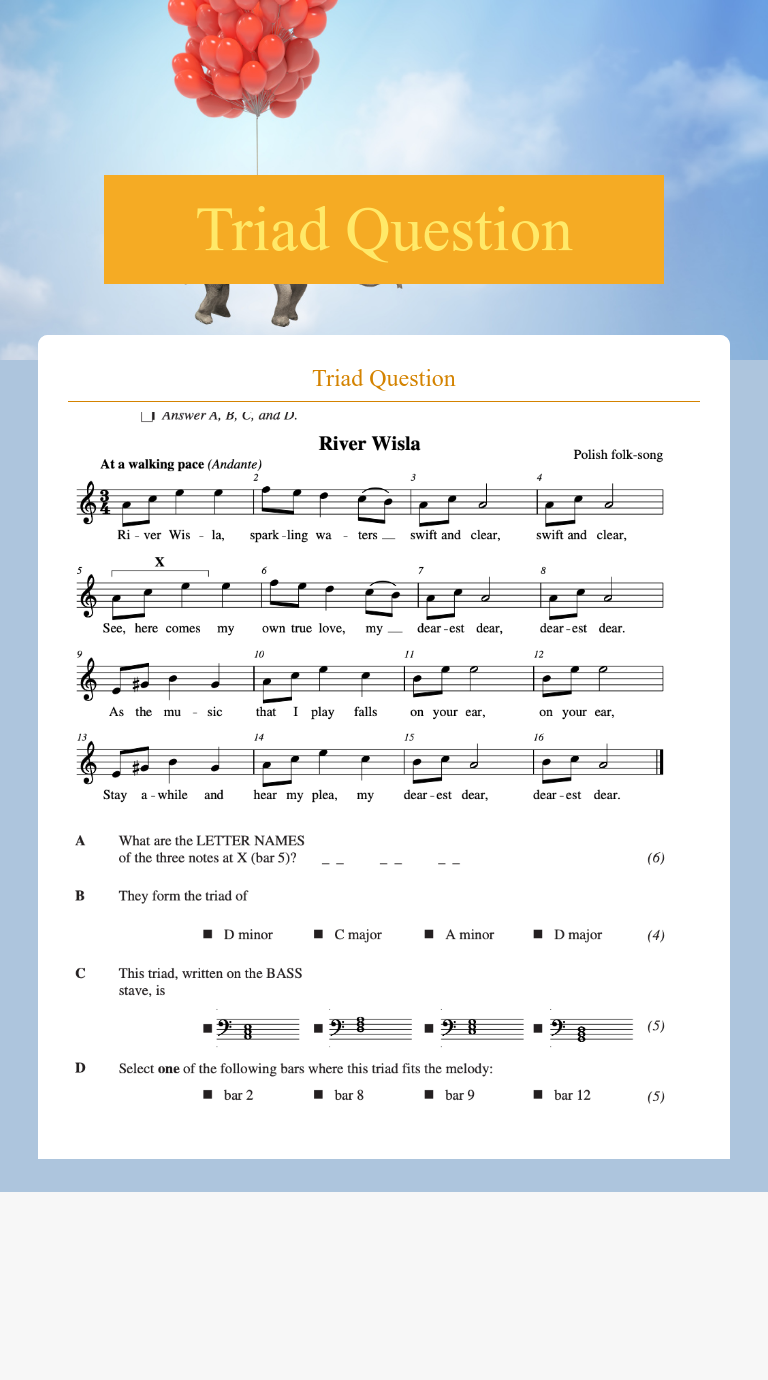 Triad Question worksheet preview image