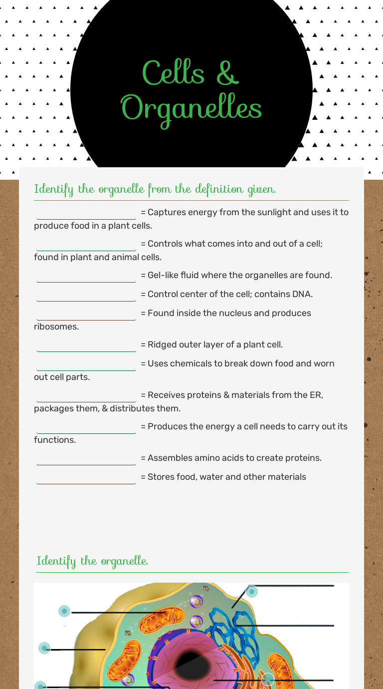 Interactive Worksheets | Wizer.me