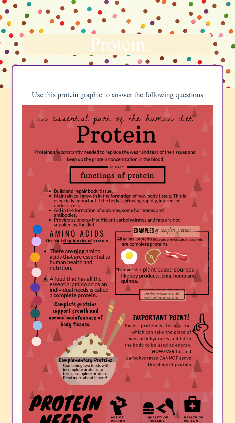 Protein Lesson For Kids