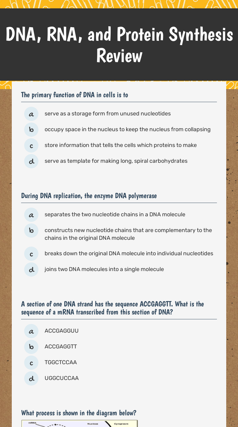 DNA, RNA, and Protein Synthesis Review  Interactive Worksheet by Regarding Protein Synthesis Review Worksheet