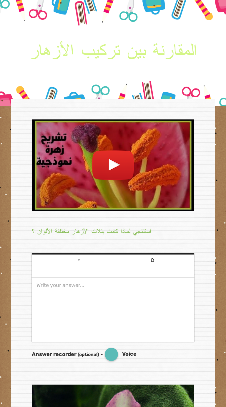 المقارنة بين تركيب الأزهار Grade 12 worksheet preview