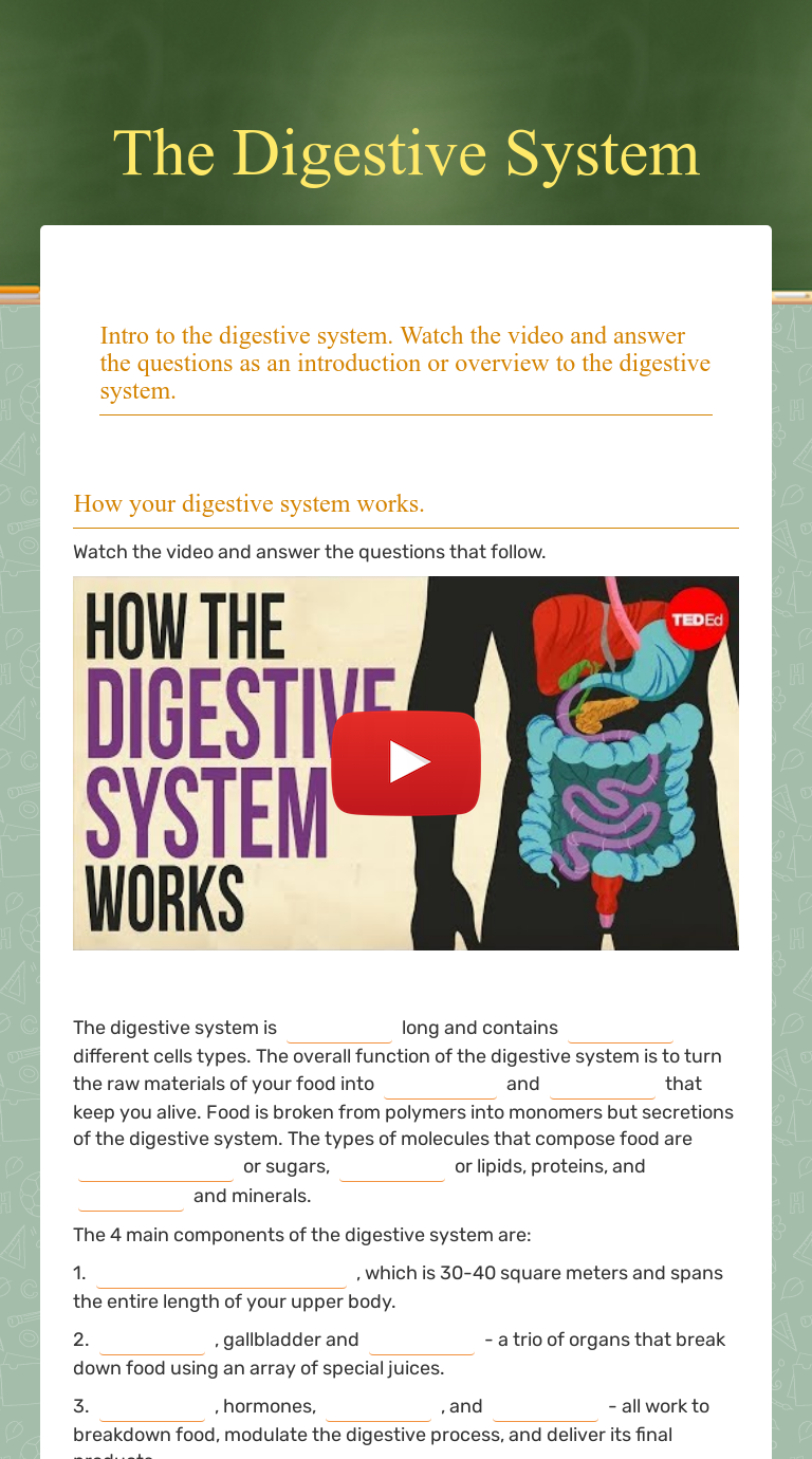 The Digestive System Interactive Worksheet By Ian Cullion Wizer me