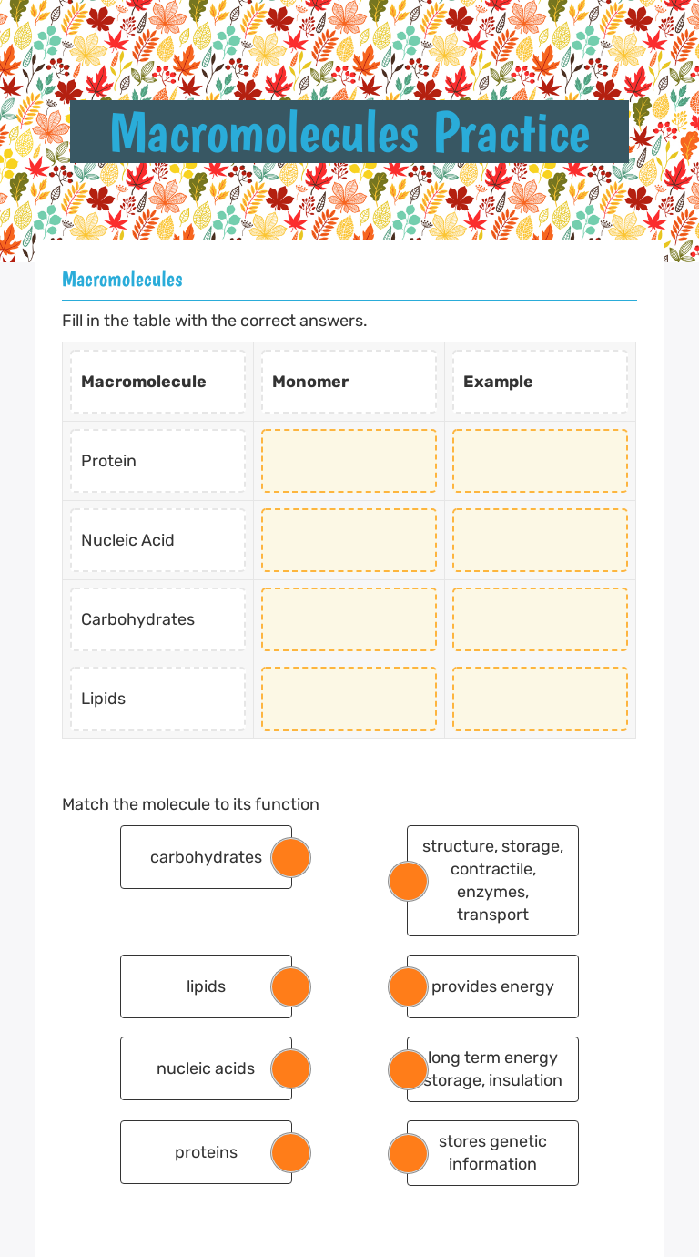 Macromolecules Practice | Interactive Worksheet by Lindsey Fraley