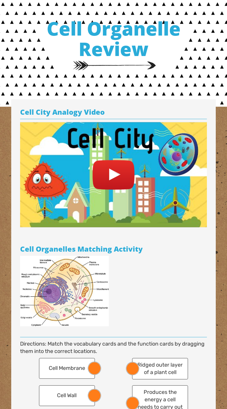Cell Organelle Review | Interactive Worksheet by sandy messana | Wizer.me