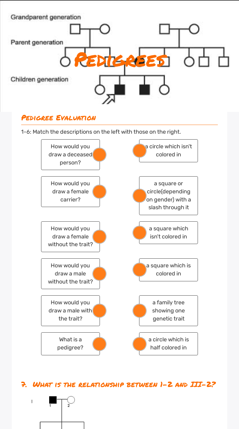 Pedigrees Grade 8 worksheet preview