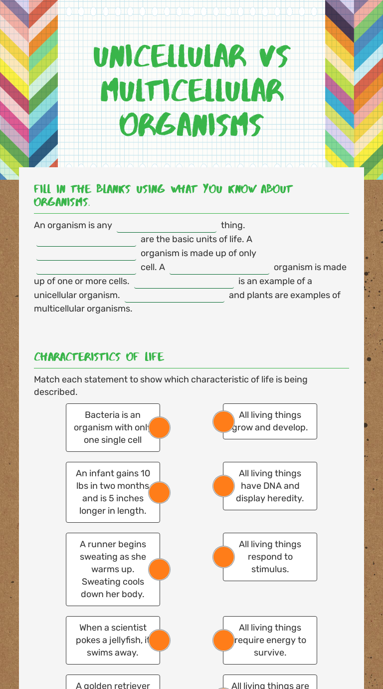 Unicellular vs multicellular Organisms worksheet preview