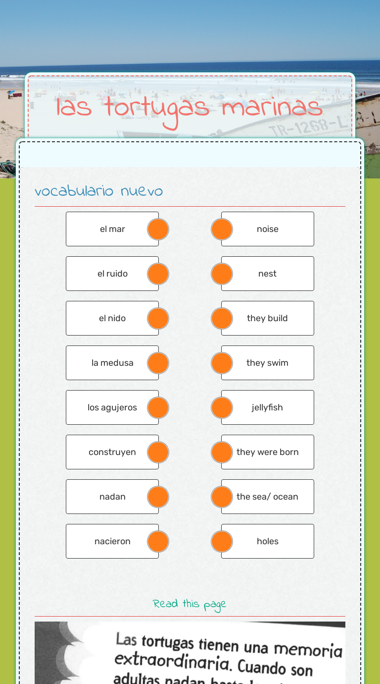 las tortugas marinas worksheet preview image
