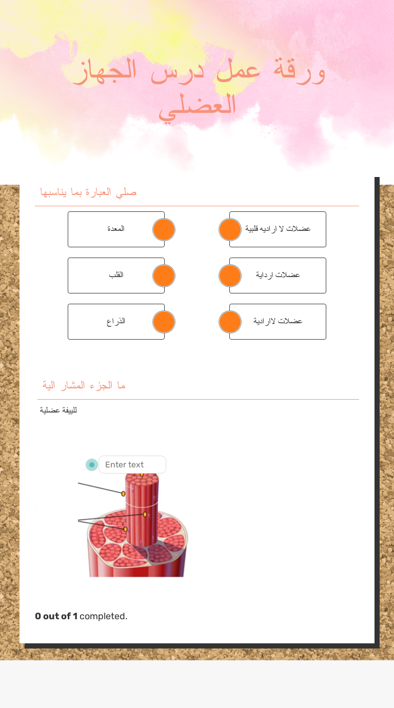 ورقة عمل درس الجهاز العضلي Grade 11 worksheet preview
