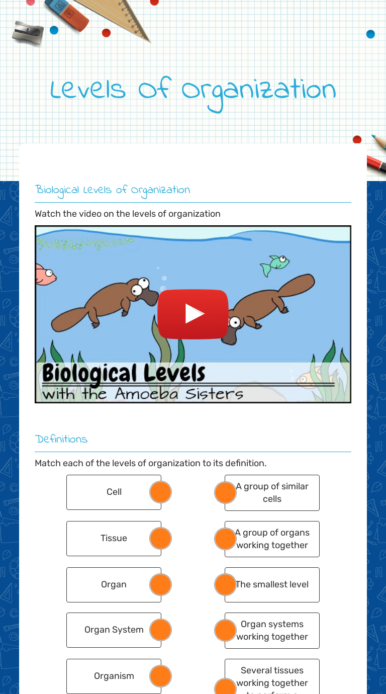 Levels Of Biological Organization Worksheet – E Street Light