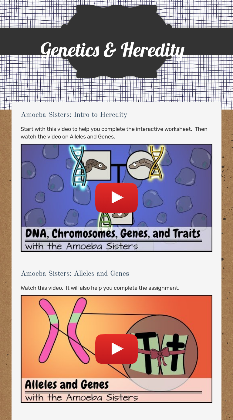 Genetics & Heredity worksheet preview image