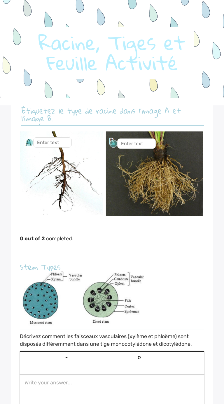 Racine, Tiges et Feuille Activité worksheet preview image
