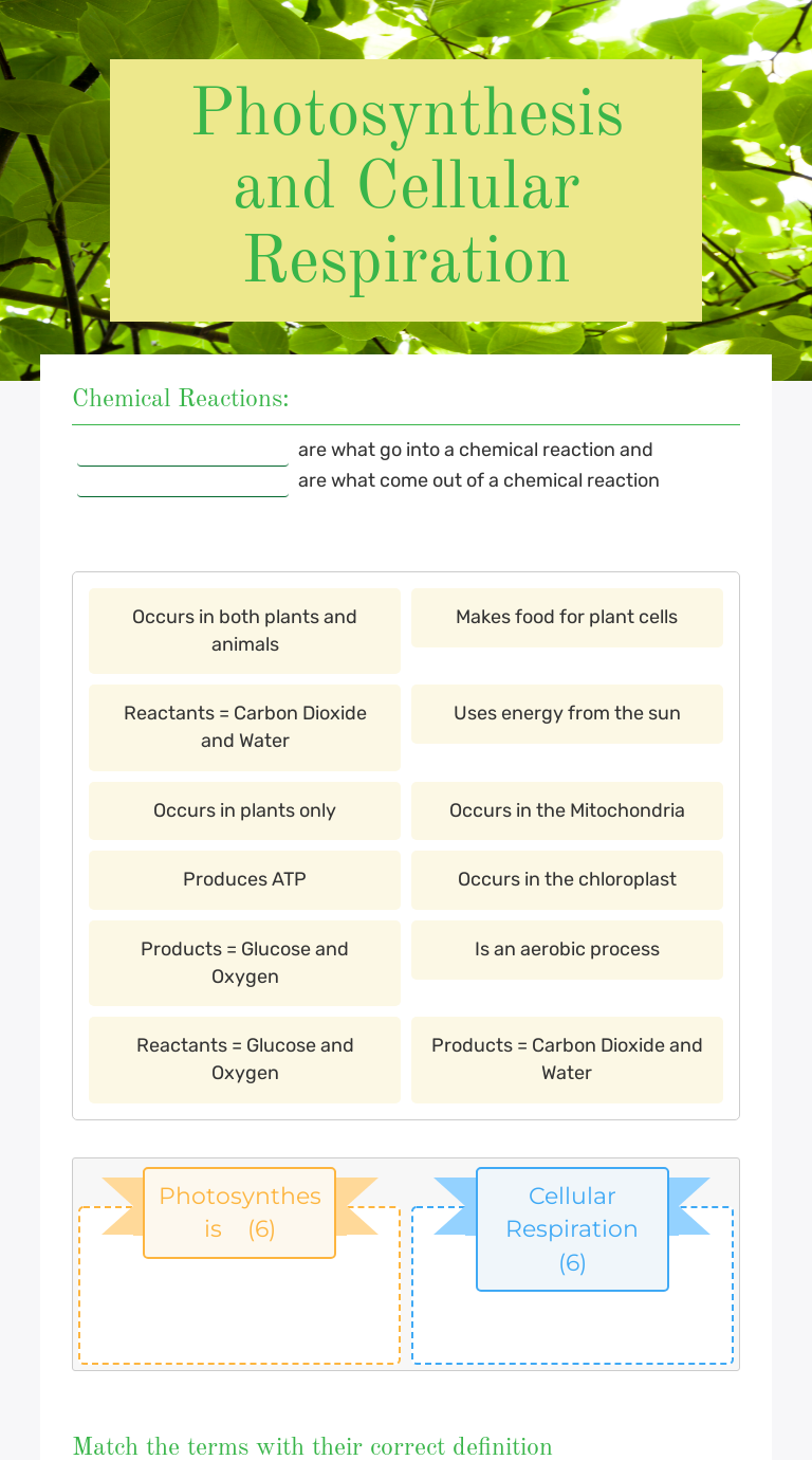 Photosynthesis and Cellular Respiration worksheet preview