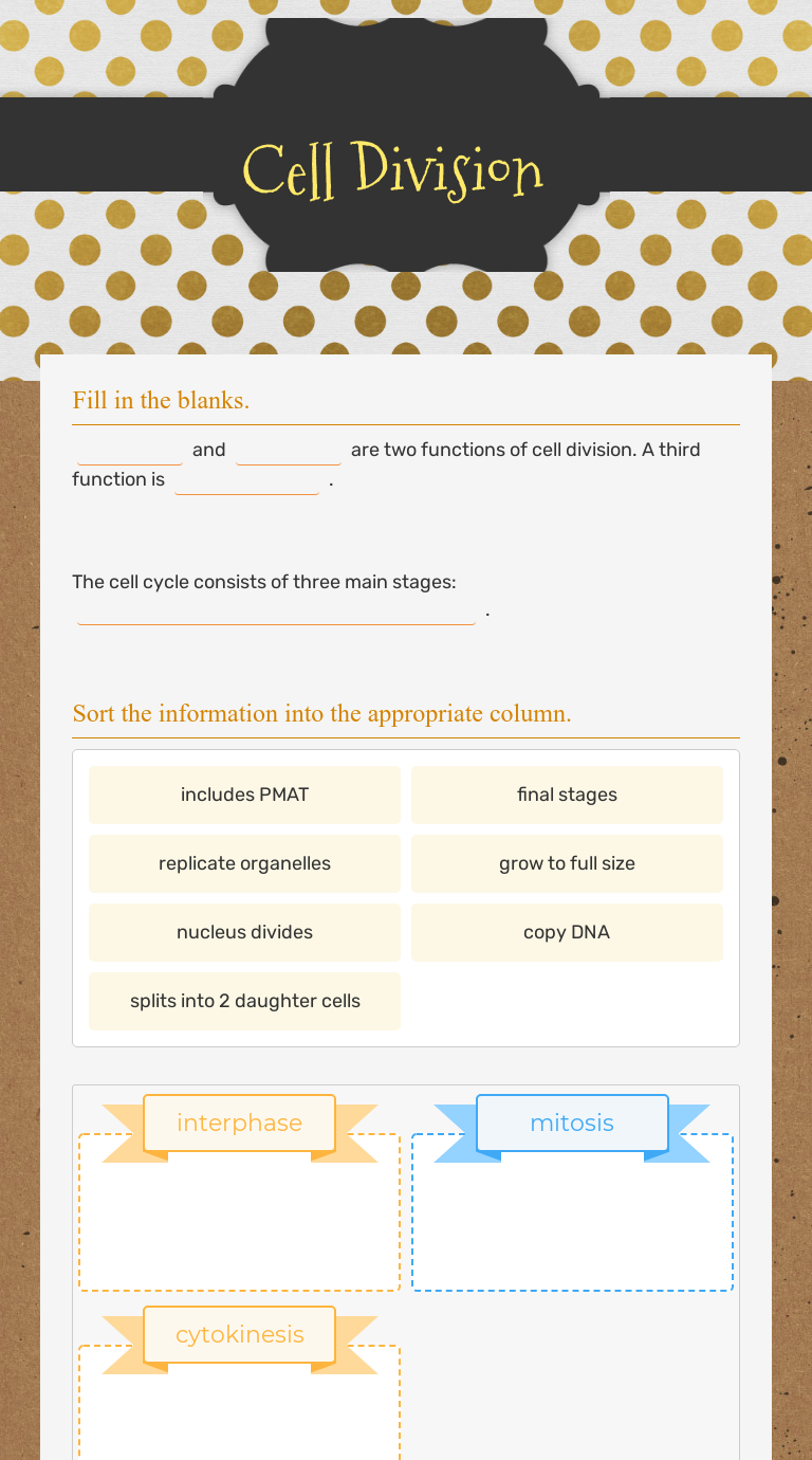 Cell Division worksheet preview