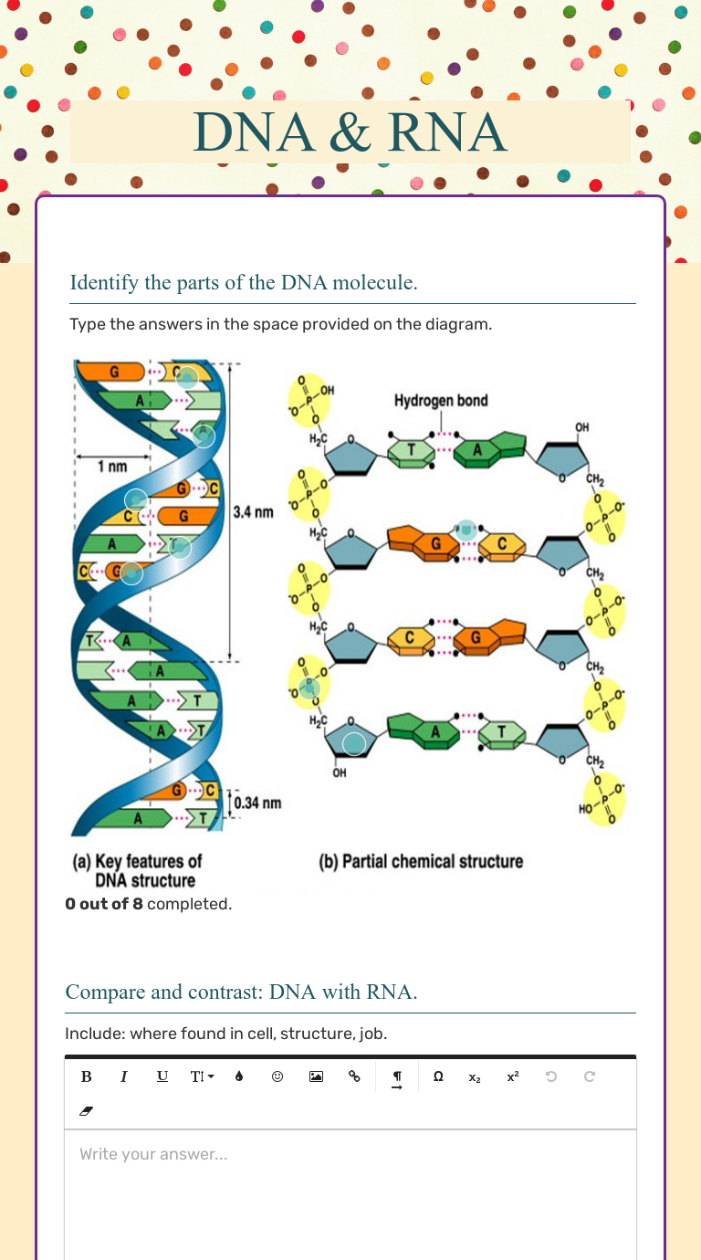 DNA & RNA  Interactive Worksheet by Jenniffer Riley  Wizer.me Within Dna And Rna Worksheet Answers