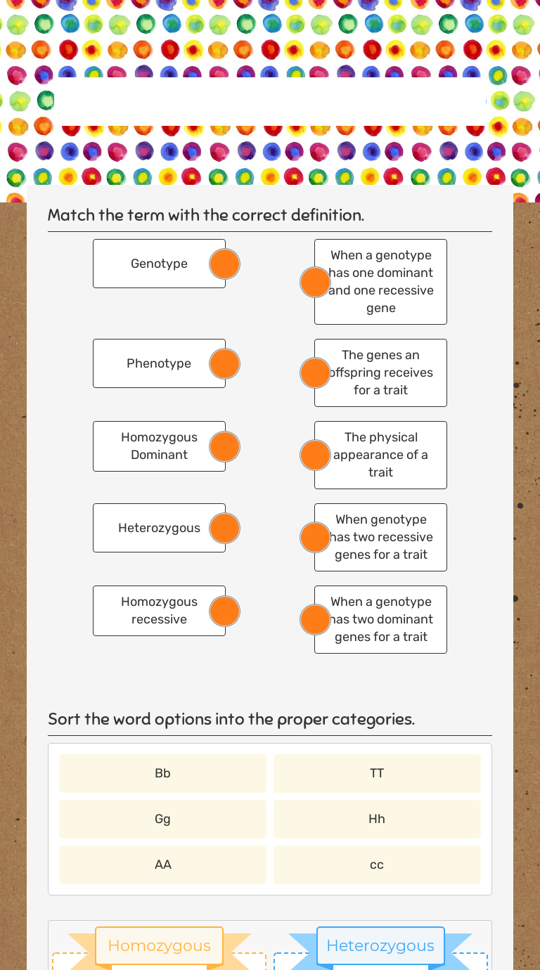 Punnett Squares Review worksheet preview image