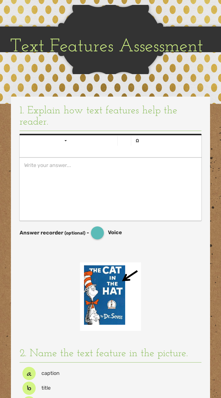 Text Features Assessment worksheet preview image