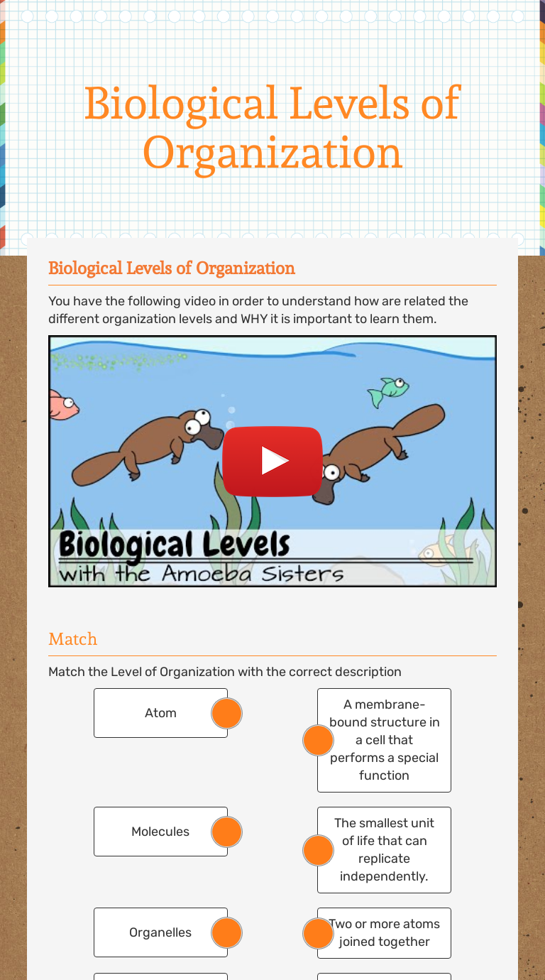 Biological Levels of Organization  Interactive Worksheet by With Level Of Organization Worksheet