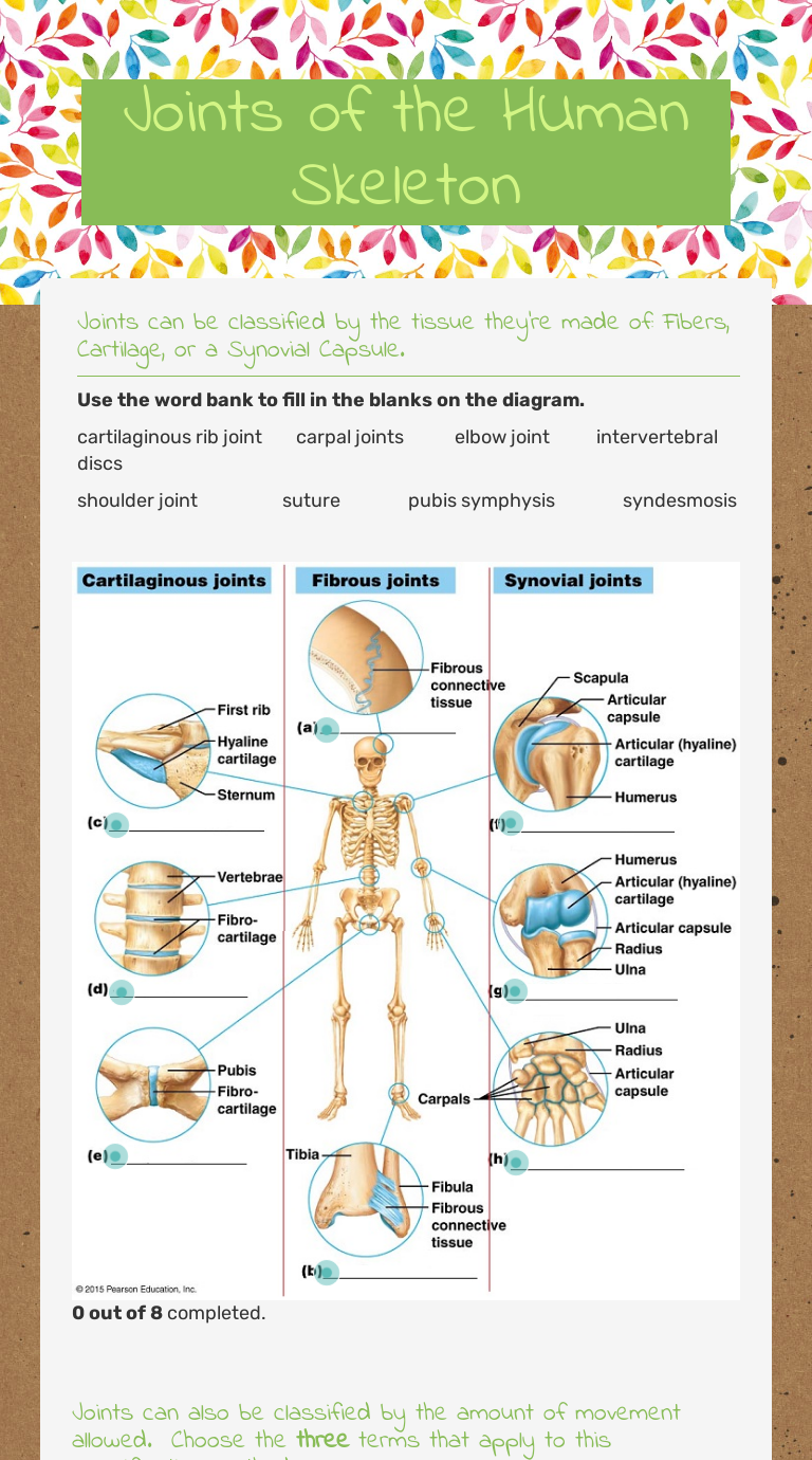 Joints of the HUman Skeleton | Interactive Worksheet by Glenda Thomas | Wizer.me