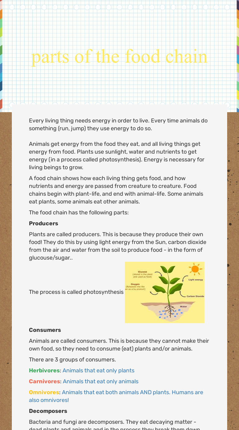 parts of the food chain Grade 6 worksheet preview