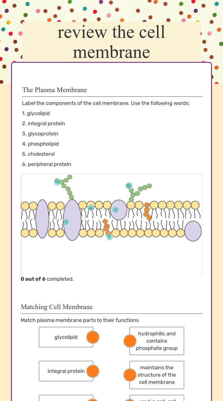 cell membrane diagram worksheet