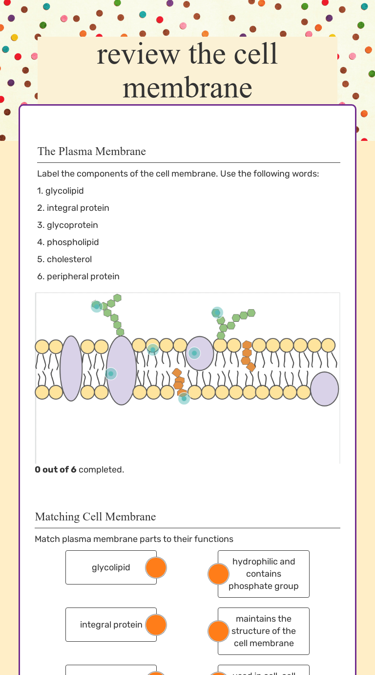 review the cell membrane  Interactive Worksheet by Danielle With Regard To Cell Membrane Images Worksheet Answers