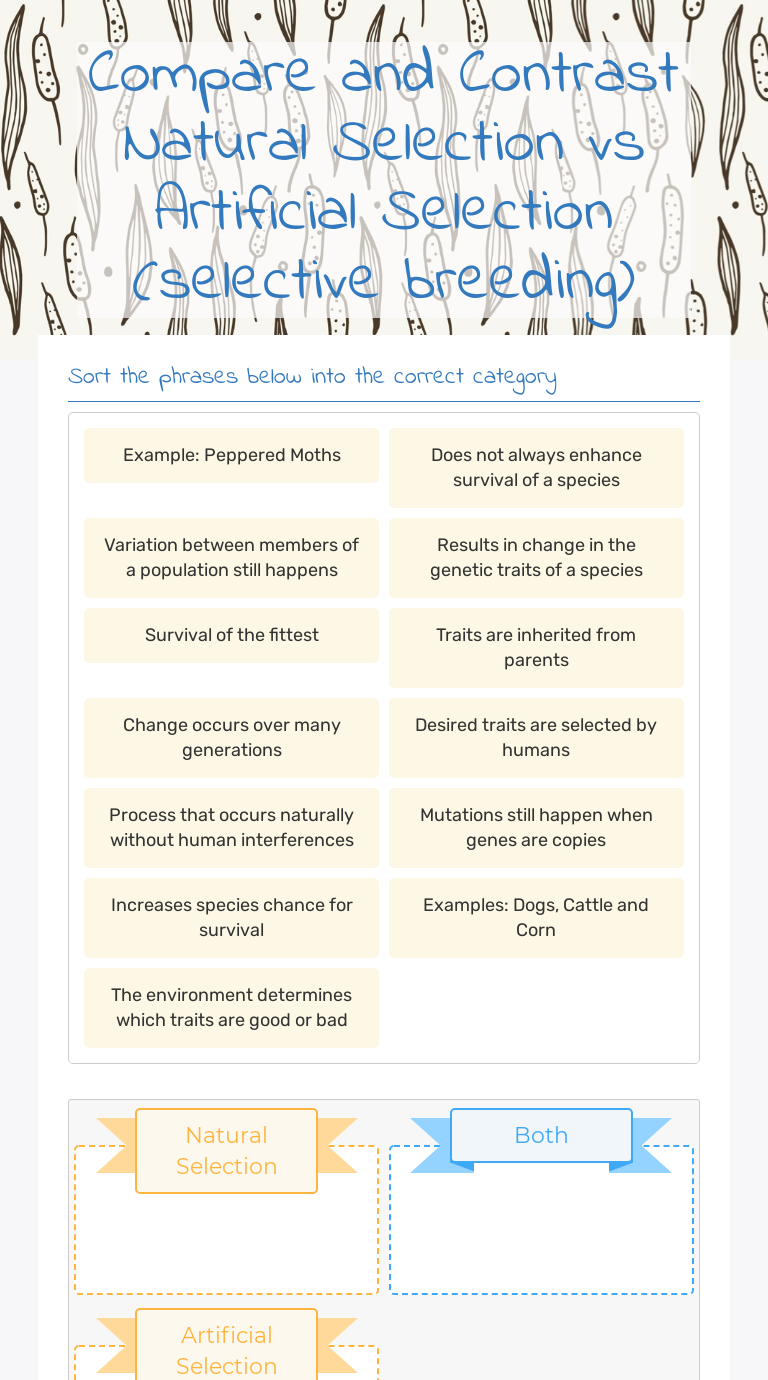 compare-and-contrast-natural-selection-vs-artificial-selection