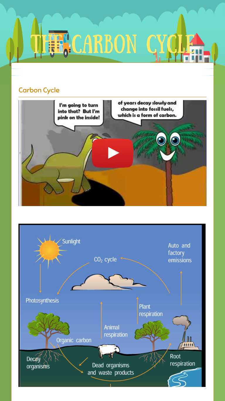 the-carbon-cycle-interactive-worksheet-by-stephanie-chaney-wizer-me