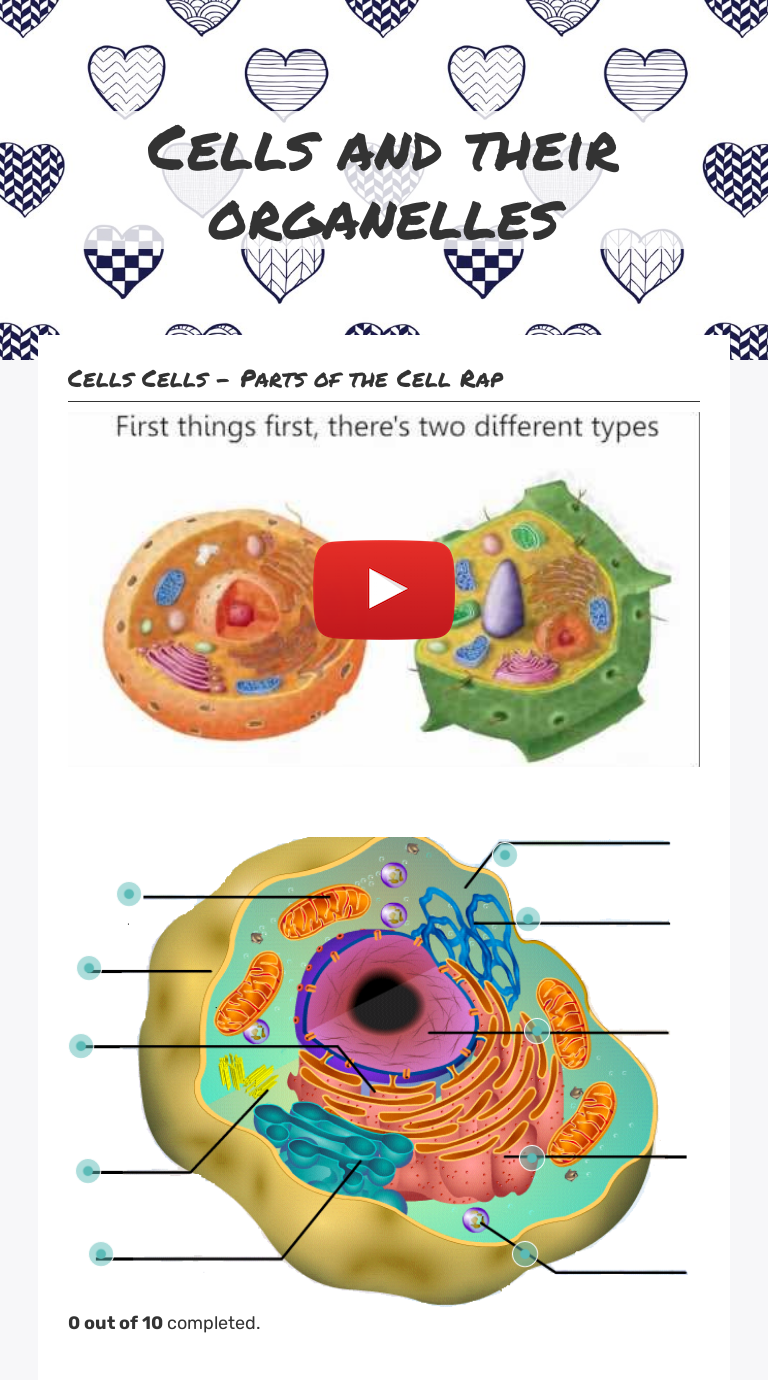 Cells and their organelles worksheet preview image