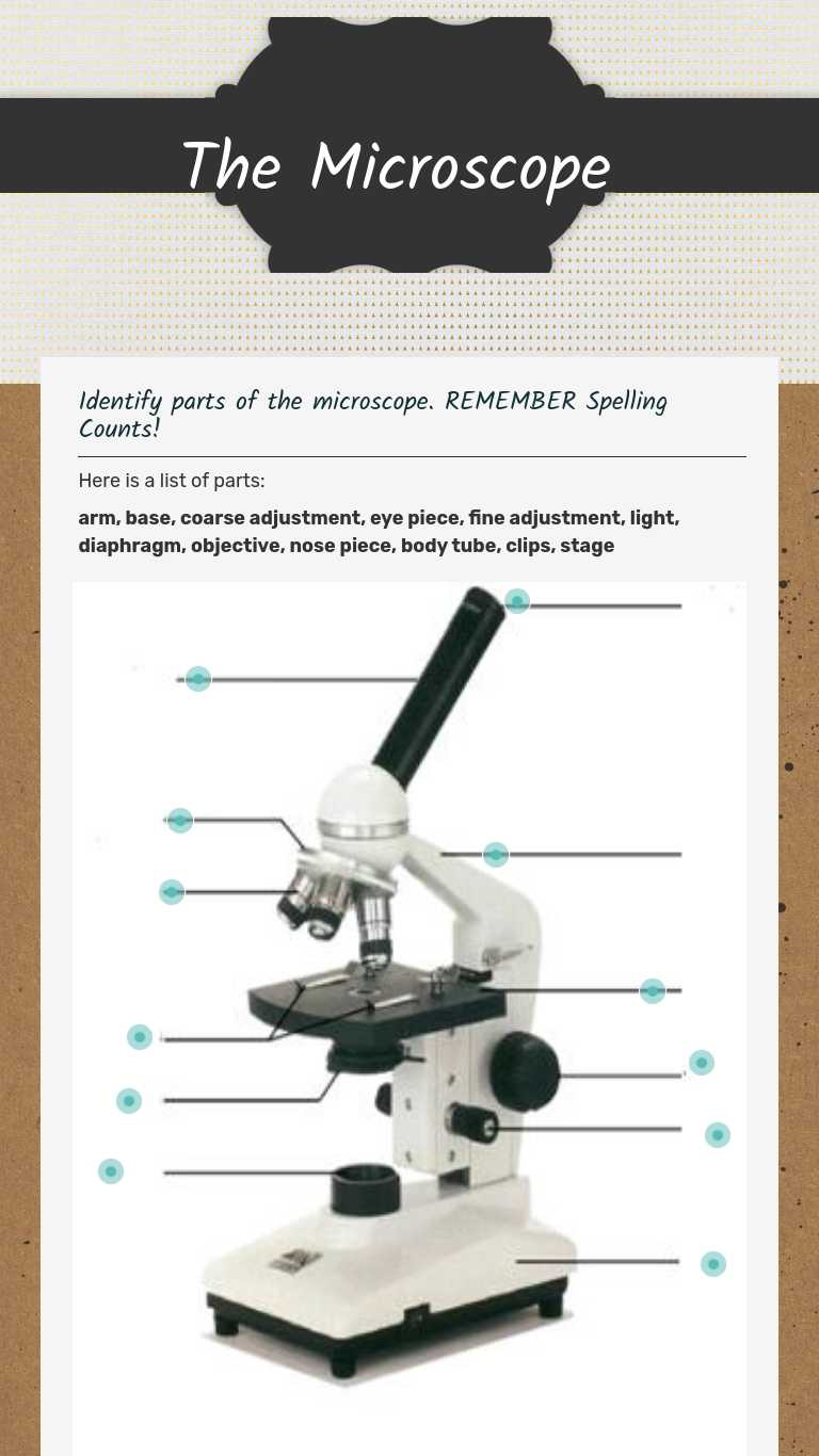 The Microscope Interactive Worksheet by Karen Burke Wizer.me