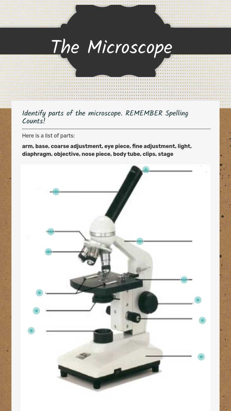 The Microscope | Interactive Worksheet by Karen Burke | Wizer.me