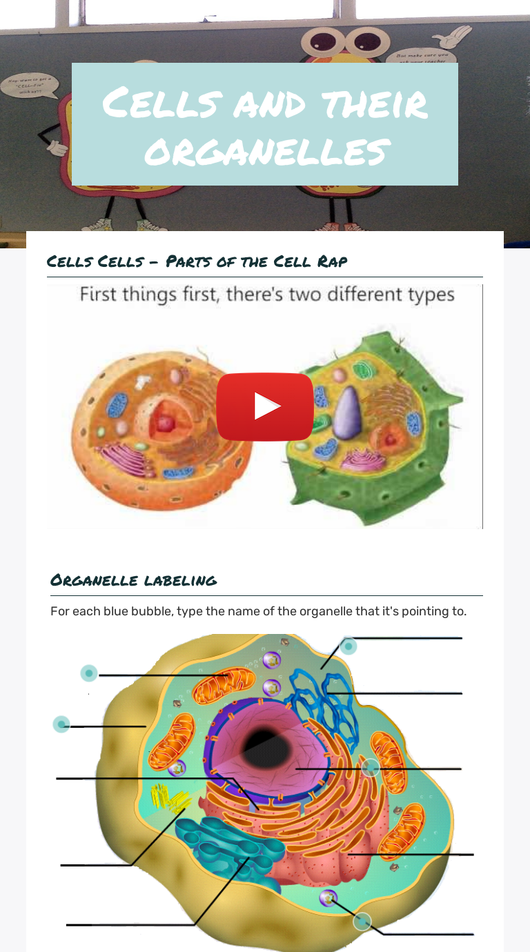 Cells and their organelles  Interactive Worksheet by Tammy With Cells And Their Organelles Worksheet