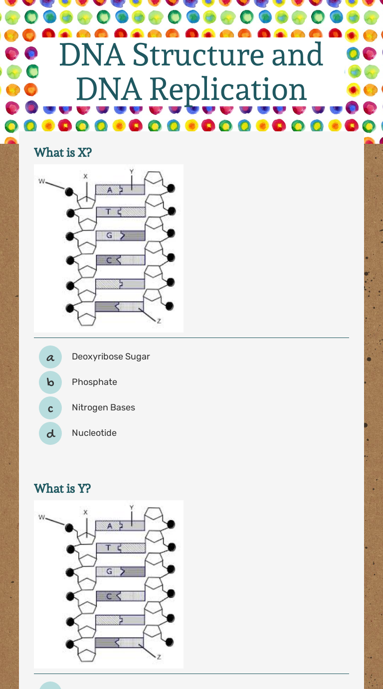 DNA Structure and DNA Replication  Interactive Worksheet by Within Dna And Replication Worksheet