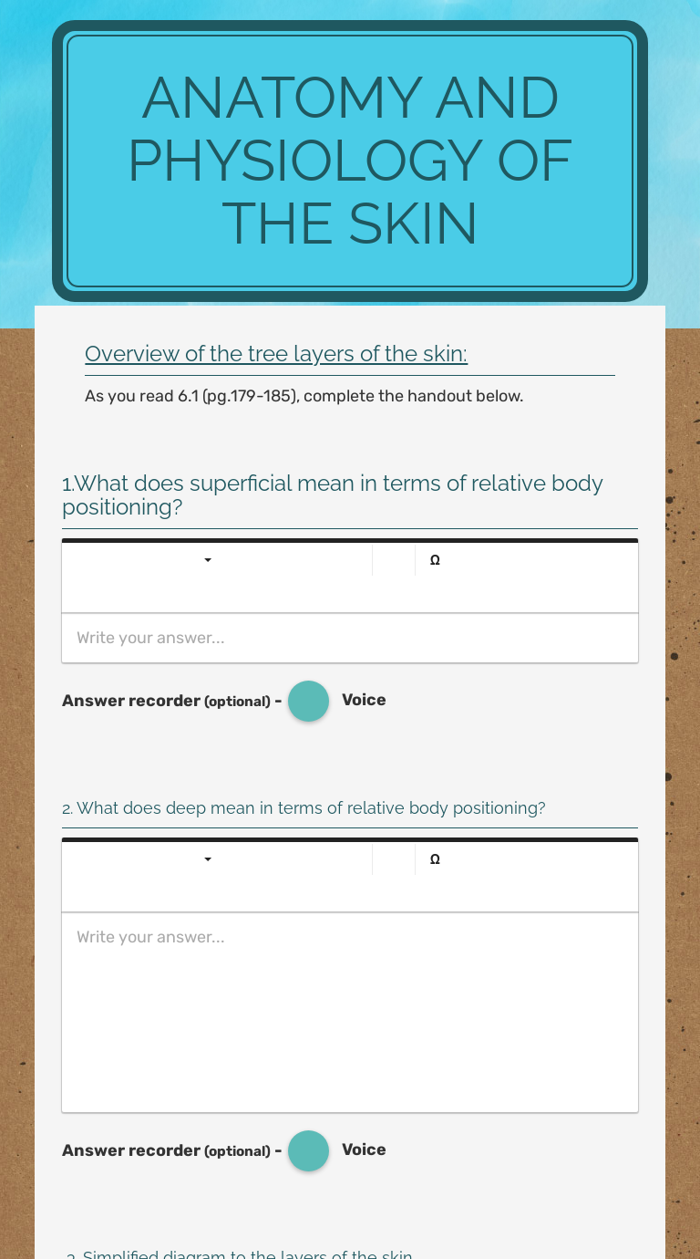 Anatomy and Physiology of the skin worksheet preview image