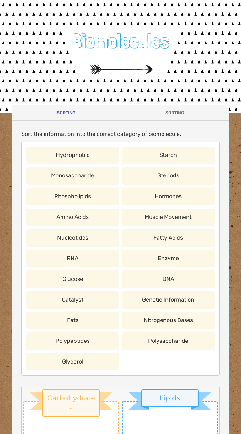 Biomolecules worksheet preview image