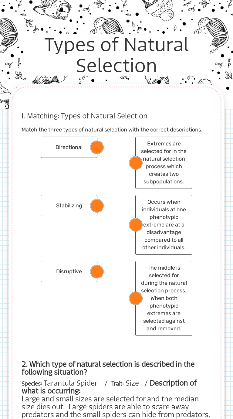 Types Of Natural Selection Worksheet