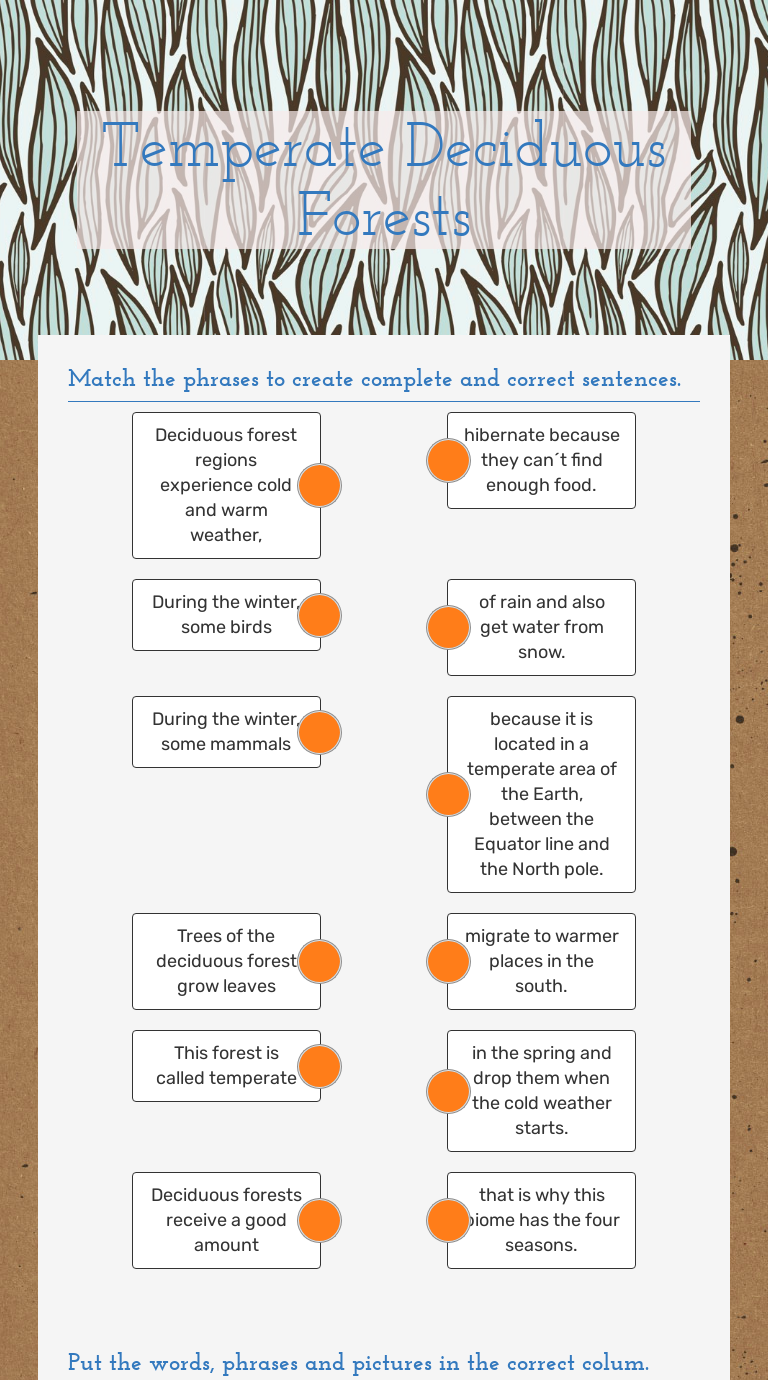 temperate-deciduous-forests-interactive-worksheet-by-agusram-fervig-wizer-me