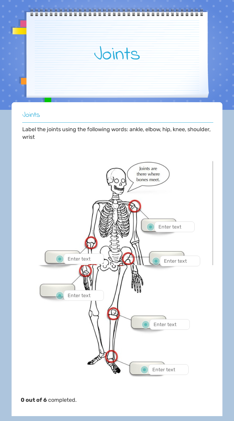 Joints Interactive Worksheet by STEVIE SOLTIS Wizer.me
