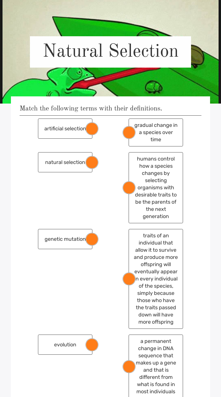 Natural Selection Interactive Worksheet By Ann Hicks Wizer Me