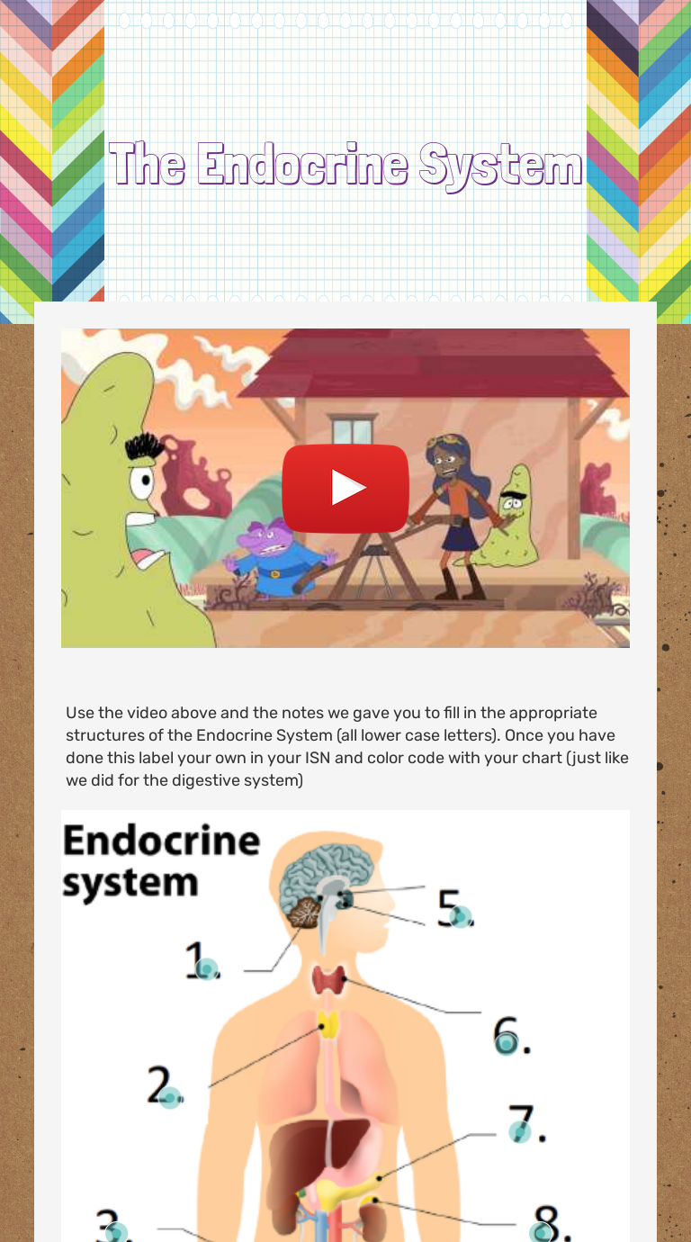 The Endocrine System Interactive Worksheet By Smith J Wizerme 